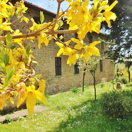 Farm stay Agriturismo Torrevecchia *
